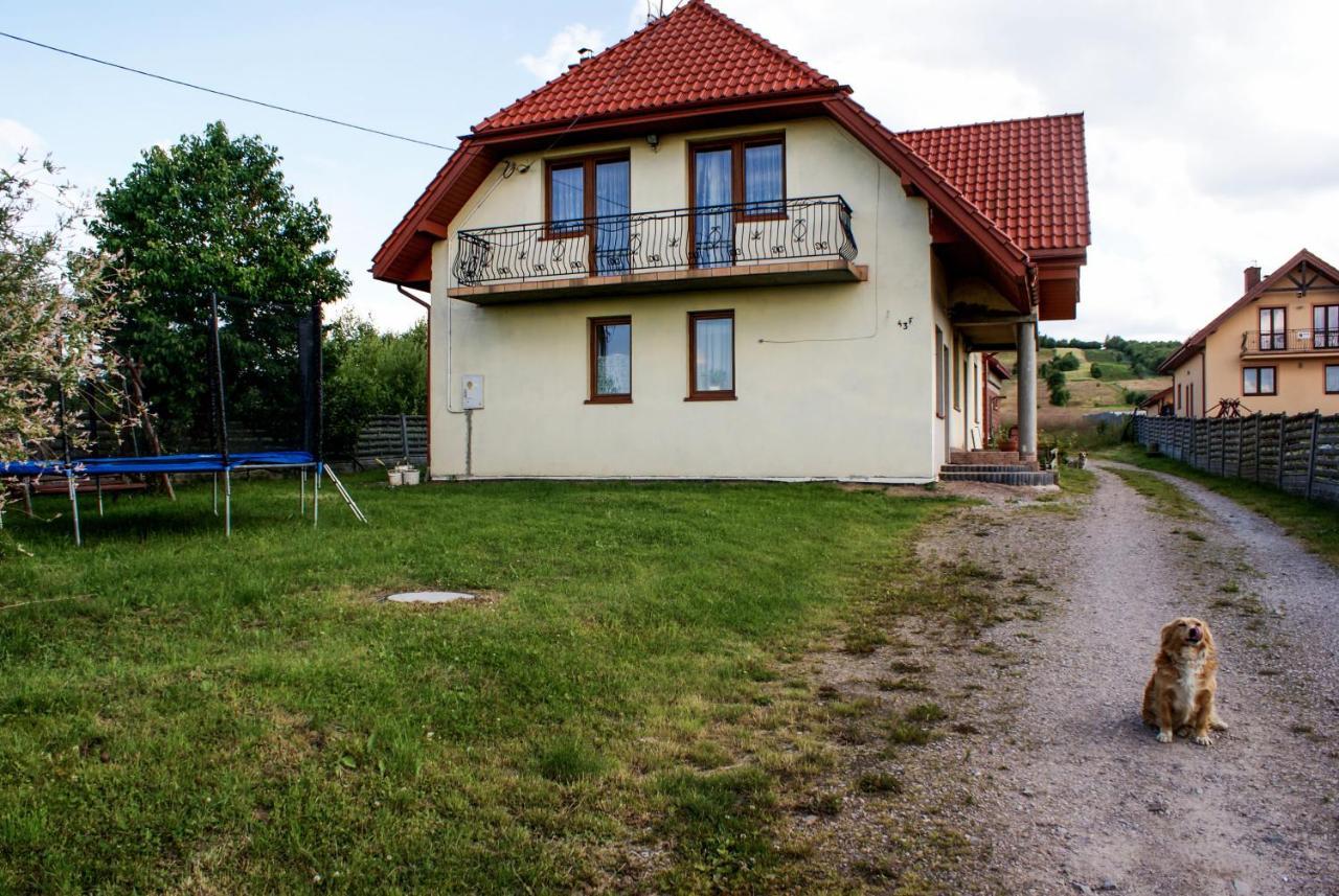 Agroturystyka U Aleksa Krajno-Zagorze 外观 照片